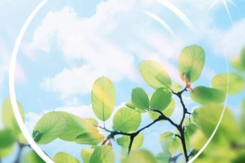 Coating hmc wholesale eyeglasses optical lens (2)